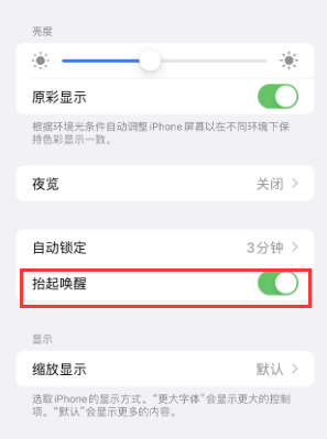 科尔沁左翼后苹果授权维修站分享iPhone轻点无法唤醒怎么办