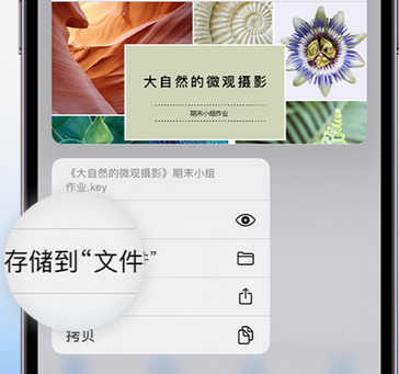 科尔沁左翼后apple维修中心分享iPhone文件应用中存储和找到下载文件