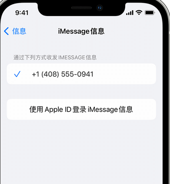 科尔沁左翼后apple维修iPhone上无法正常发送iMessage信息 