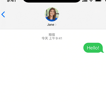 科尔沁左翼后apple维修iPhone上无法正常发送iMessage信息