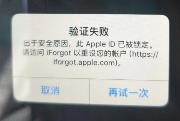 科尔沁左翼后iPhone维修分享iPhone上正常登录或使用AppleID怎么办 