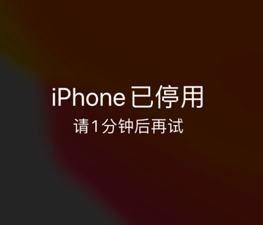 科尔沁左翼后苹果手机维修分享:iPhone 显示“不可用”或“已停用”怎么办？还能保留数据吗？ 