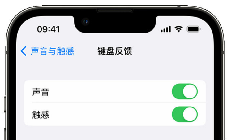 科尔沁左翼后苹果手机维修分享iPhone 14触感键盘使用方法 