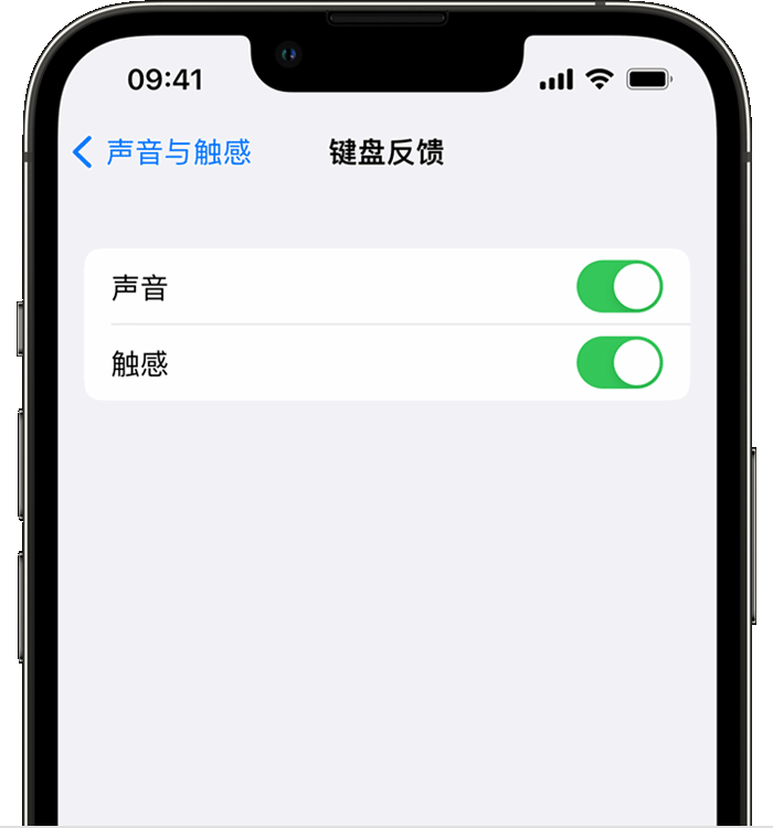 科尔沁左翼后苹果14维修店分享如何在 iPhone 14 机型中使用触感键盘 