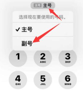 科尔沁左翼后苹果14维修店分享iPhone 14 Pro Max使用副卡打电话的方法 