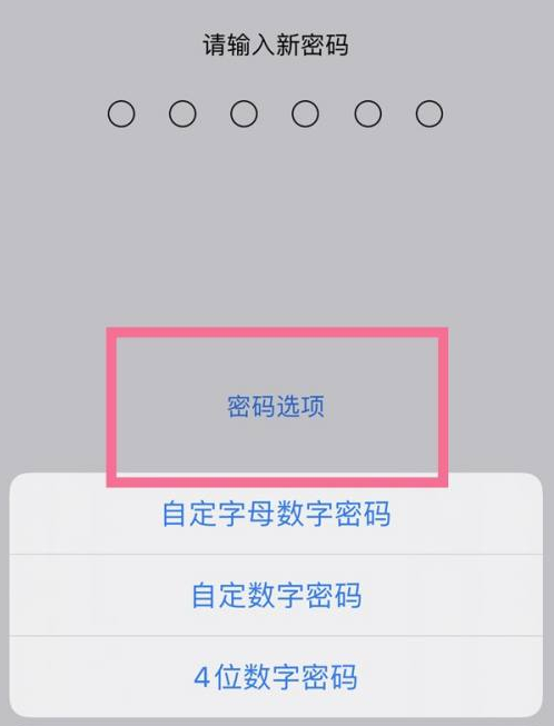 科尔沁左翼后苹果14维修分享iPhone 14plus设置密码的方法 