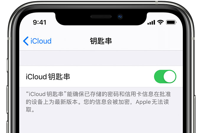 科尔沁左翼后苹果手机维修分享在 iPhone 上开启 iCloud 钥匙串之后会储存哪些信息 