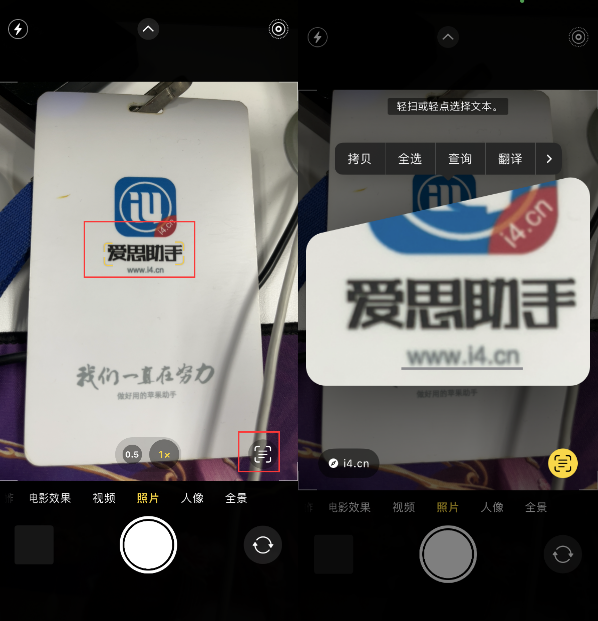 科尔沁左翼后苹果手机维修分享升级iOS 16后如何通过相机翻译文本 