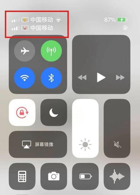 科尔沁左翼后苹果手机维修分享为 iPhone 12 双卡设置标签 